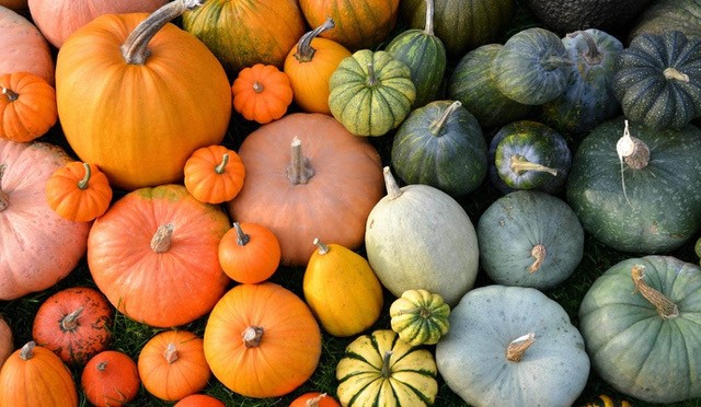 Want Loads of Powerful Nutrients? Try Winter Squash
